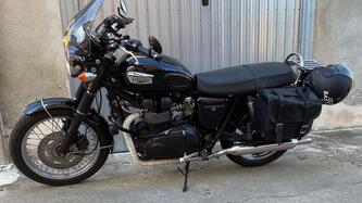 Triumph Bonneville T100 (2001 - 07) usata