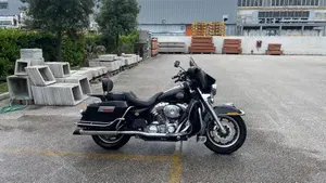 Harley-Davidson 1450 Electra Glide Standard (1999 - 05) - FLHTI  (2)