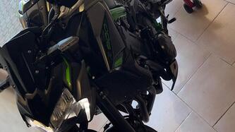 Kawasaki Z 900 (2021 - 24)