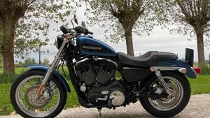 Harley-Davidson 1200 Roadster (2006 - 08) - XL 1200R 
