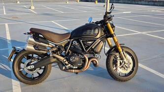 Ducati Scrambler 1100 Sport Pro (2020 - 25) usata