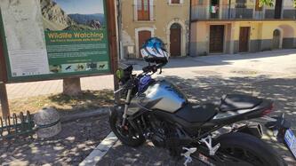 Honda CB 750 Hornet (2023 - 24)