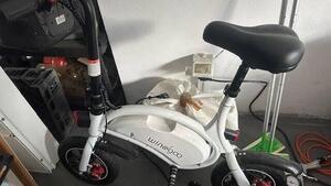  Altre moto o tipologie Elettrico 