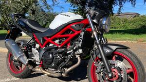 Suzuki SV650 (2021 - 24) 