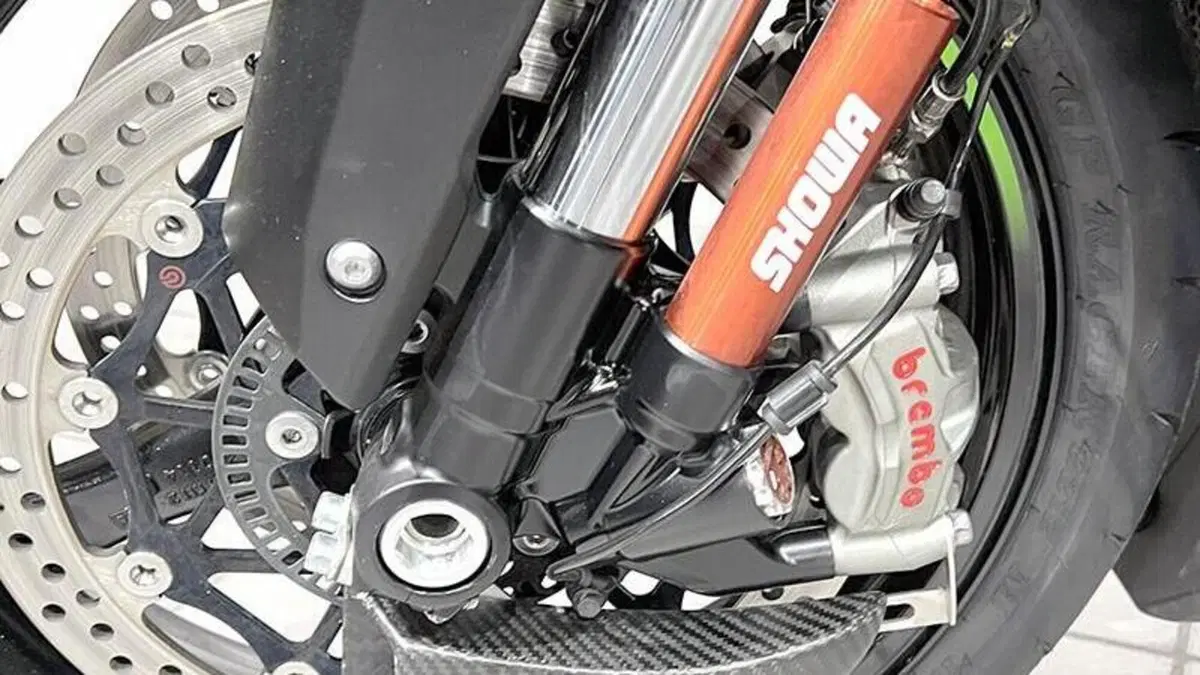 Kawasaki Ninja 1000 ZX-10R (2021 - 25)  (3)