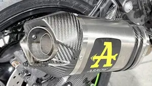 Kawasaki Ninja 1000 ZX-10R (2021 - 25)  (4)