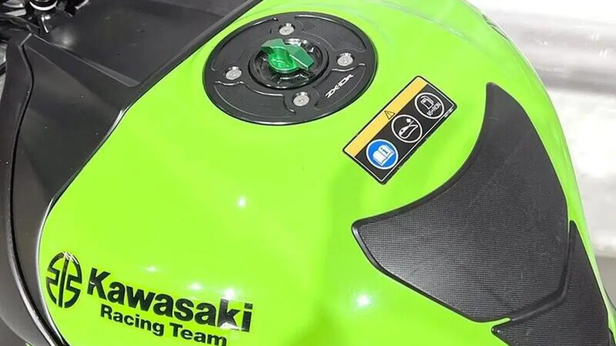 Kawasaki Ninja 1000 ZX-10R (2021 - 25)  (5)