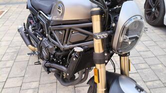 Benelli Leoncino 800 (2022 - 25) usata