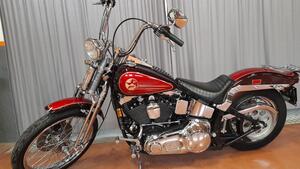 Harley-Davidson 1340 Springer (1990 - 98) - FXSTS 