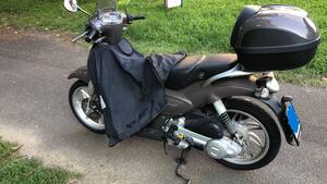 Aprilia Scarabeo 100 4t (2007 - 16) 