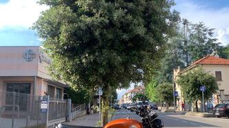 Royal Enfield Interceptor 650 (2019 - 20) usata