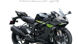 Kawasaki Ninja 636 ZX-6R (2024 - 26)