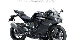 Kawasaki Ninja ZX-4RR (2024 - 26) 