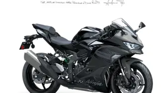 Kawasaki Ninja ZX-4RR (2024 - 26) nuova