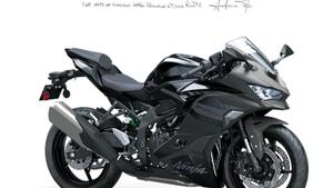 Kawasaki Ninja ZX-4RR (2024 - 26)