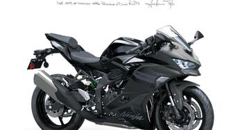 Kawasaki Ninja ZX-4RR (2024 - 26) nuova