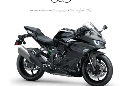 Kawasaki Ninja ZX-4RR (2024 - 26) - Annuncio 9838354