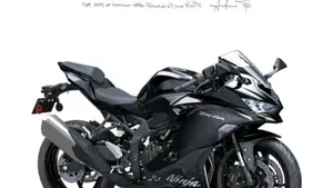 Kawasaki Ninja ZX-4R (2024 - 26) 