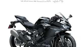 Kawasaki Ninja ZX-4R (2024 - 26) nuova