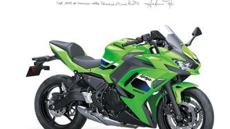 Kawasaki Ninja 650 (2021 - 24) nuova