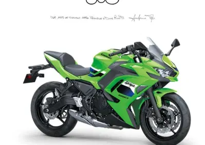 Kawasaki Ninja 650 (2021 - 24) - Annuncio 9838361