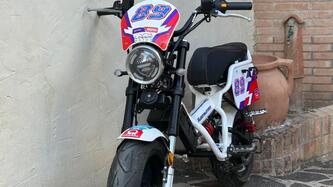 Garelli Ciclone Elettrico Dark (2020 - 25)