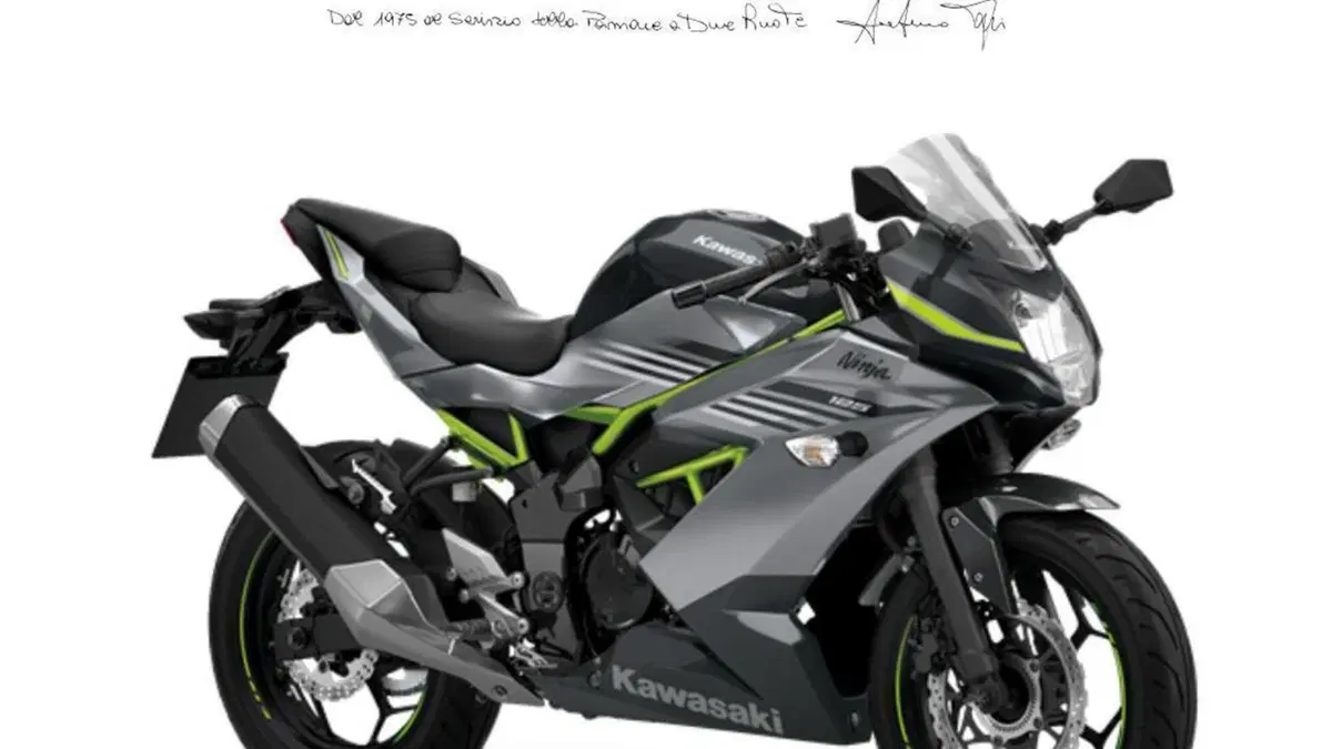 Kawasaki Ninja 125 (2025 - 26) 