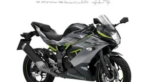 Kawasaki Ninja 125 (2025 - 26) 