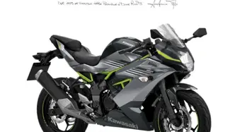 Kawasaki Ninja 125 (2025 - 26) nuova