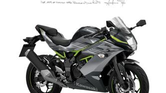 Kawasaki Ninja 125 (2025 - 26)