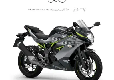 Kawasaki Ninja 125 (2025 - 26) - Annuncio 9838604