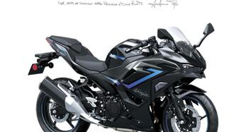 Kawasaki Ninja 500 SE (2024 - 26)