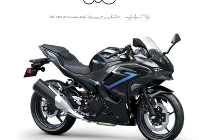 Kawasaki Ninja 500 SE (2024 - 26) - Annuncio 9838605