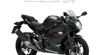 Kawasaki Ninja 125 (2025 - 26) nuova