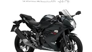 Kawasaki Ninja 125 (2025 - 26) 