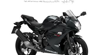 Kawasaki Ninja 125 (2025 - 26)