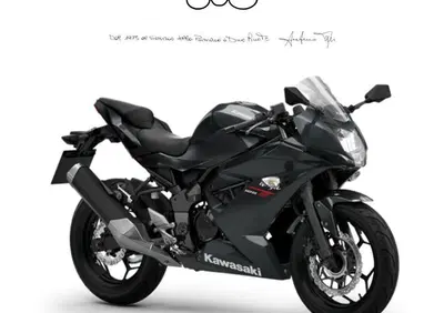 Kawasaki Ninja 125 (2025 - 26) - Annuncio 9838606