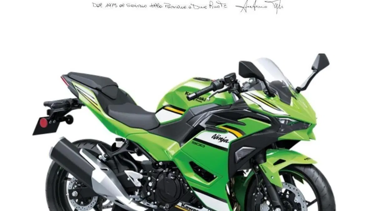 Kawasaki Ninja 500 SE (2024 - 26) 