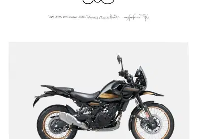 Royal Enfield Himalayan 450 (2024 - 26) - Annuncio 9838759