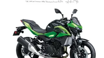 Kawasaki Z 500 (2024 - 26) nuova