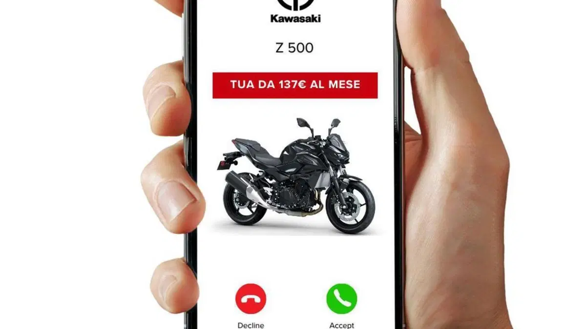 Kawasaki Z 500 (2024 - 26)  (3)