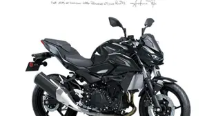 Kawasaki Z 500 (2024 - 26) 