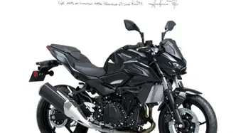 Kawasaki Z 500 (2024 - 26) nuova