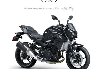 Kawasaki Z 500 (2024 - 26) - Annuncio 9838795