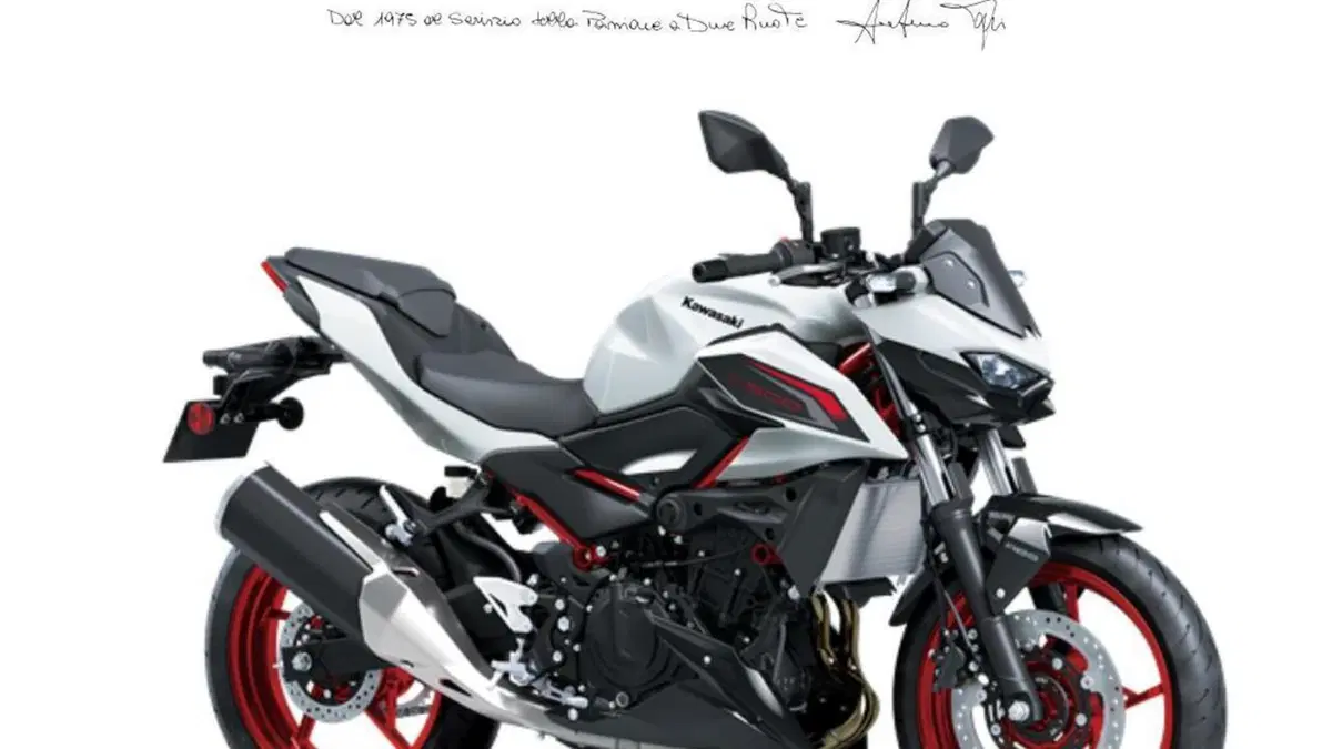 Kawasaki Z 500 SE (2024 - 26) 