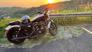 Harley-Davidson 883 (2008 - 09) - XL 
