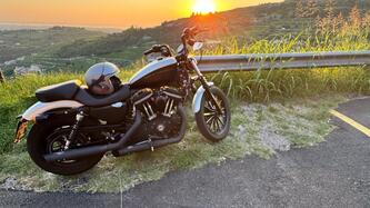 Harley-Davidson 883 (2008 - 09) - XL