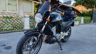 Honda CBF 500 usata