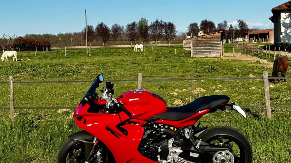 Ducati SuperSport 950 (2021 - 24)  (3)