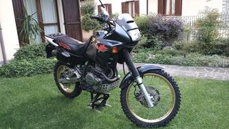 Honda NX 650 Dominator (1991 - 95) usata